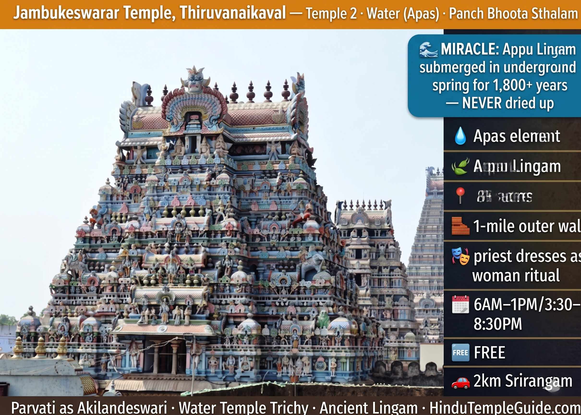 Jambukeswarar Temple Thiruvanaikaval Panch Bhoota Sthalam Water Apas Appu Lingam submerged eternal spring 1800 years Trichy Akilandeswari FREE priest woman ritual