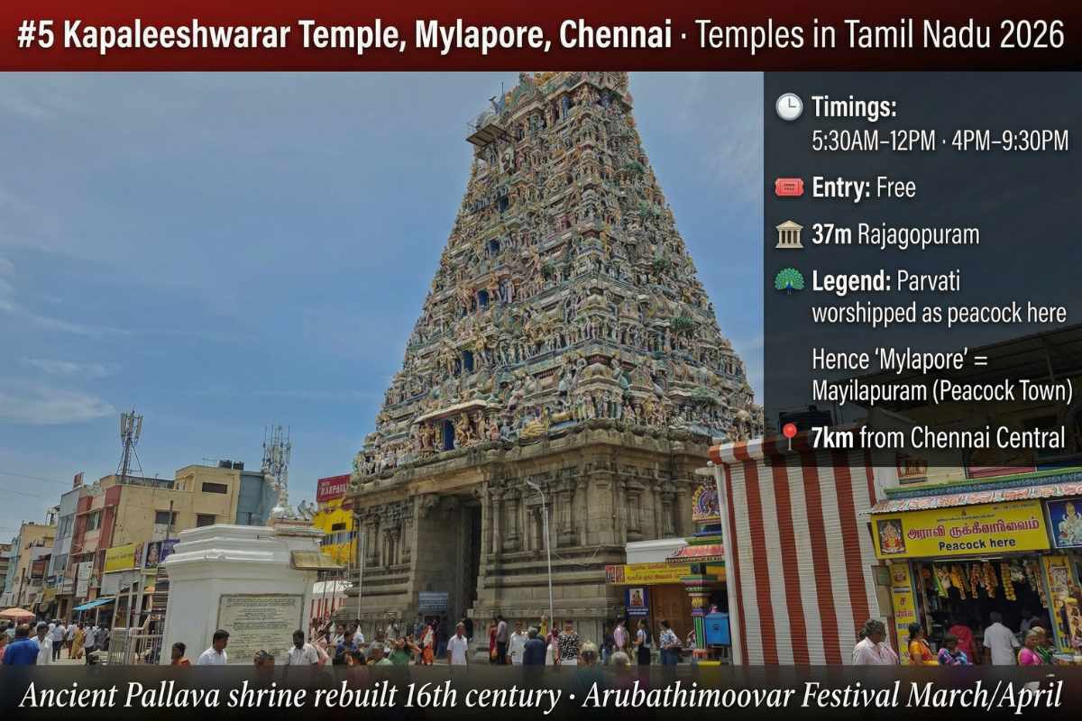 Kapaleeshwarar Temple Mylapore Chennai – 37m gopuram temple tank peacock legend Pallava shrine free entry timings 5:30AM Tamil Nadu 2026