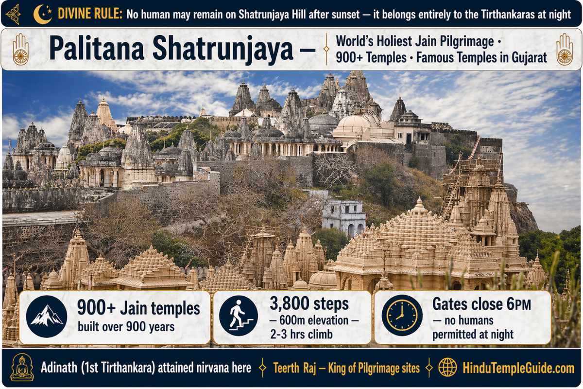 Palitana Shatrunjaya Jain temples Gujarat — 900+ white marble temples, 3800 steps, 600m elevation, no humans after sunset, Tirthankaras