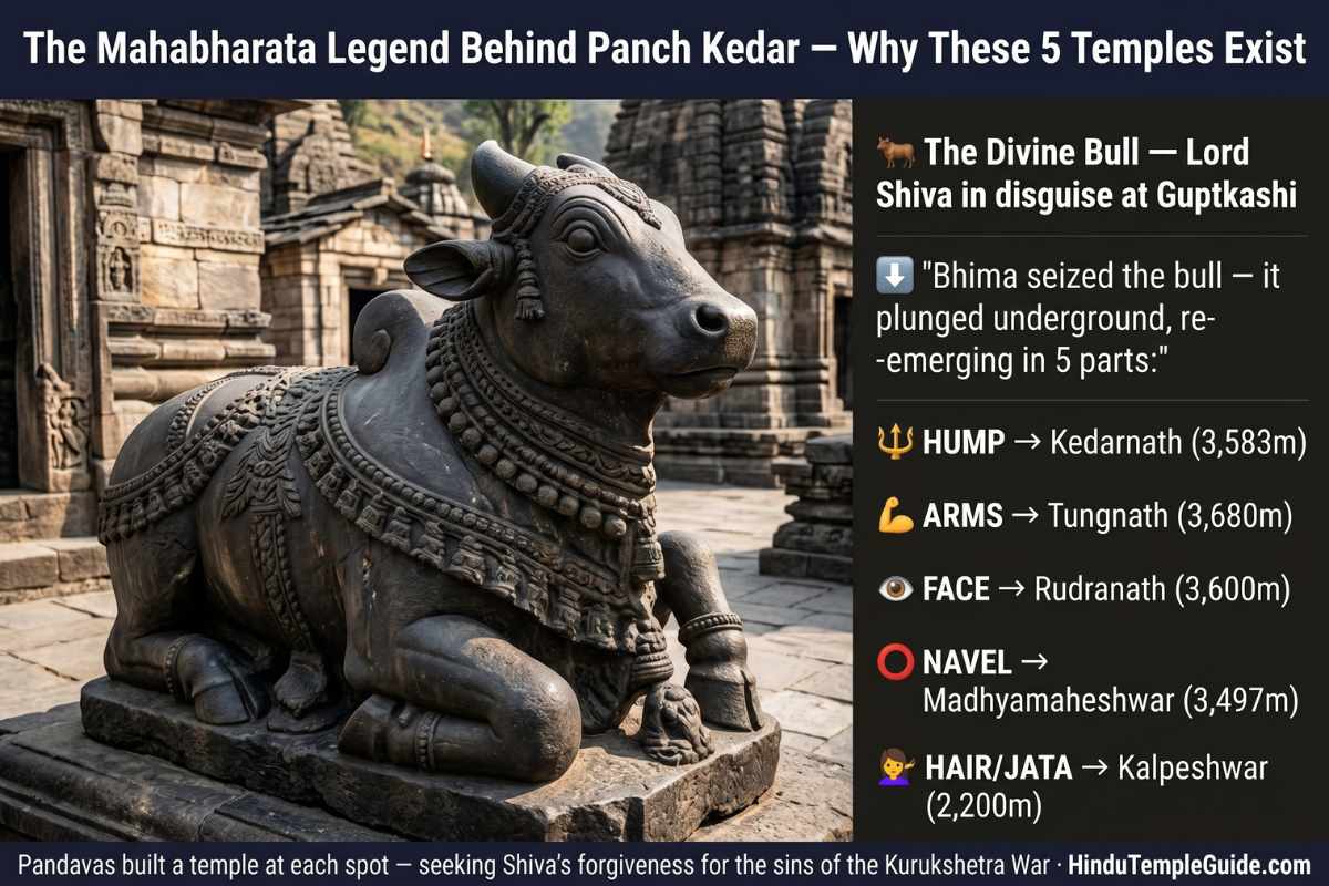 Panch Kedar legend Pandava Shiva bull 5 body parts hump Kedarnath arms Tungnath face Rudranath navel Madhyamaheshwar hair Kalpeshwar Mahabharata origin story