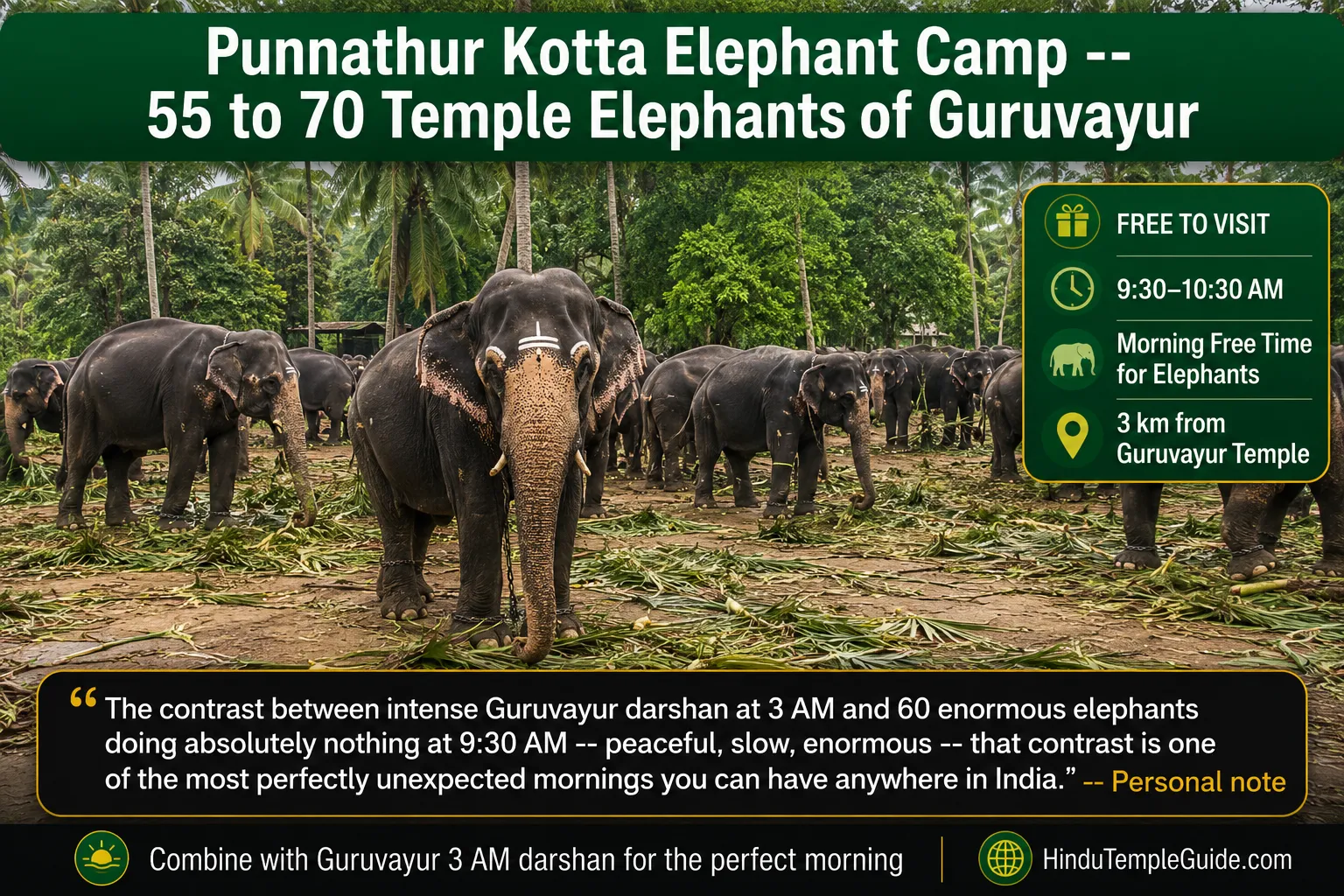 Punnathur Kotta Guruvayur temple elephants Kerala free visit 9:30AM morning free time 55-70 elephants 3km famous temples Kerala.